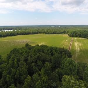 Photo #10 of SOLD property in Off Veachs Mill Road, Warsaw, NC 177.0 acres