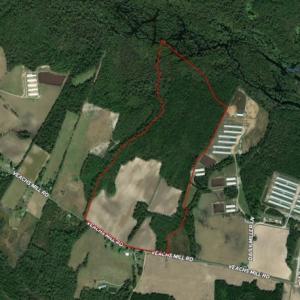 Photo #1 of SOLD property in Off Veachs Mill Road, Warsaw, NC 177.0 acres