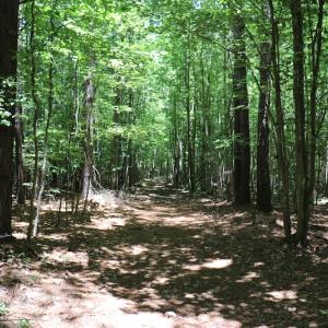 Photo #10 of SOLD property in Off Pumping Station Road, Sanford, NC 35.0 acres