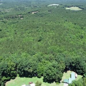 Photo #15 of SOLD property in Off Pumping Station Road, Sanford, NC 35.0 acres