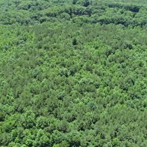 Photo #16 of SOLD property in Off Pumping Station Road, Sanford, NC 35.0 acres