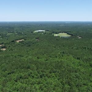 Photo #17 of SOLD property in Off Pumping Station Road, Sanford, NC 35.0 acres