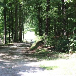 Photo #20 of SOLD property in Off Pumping Station Road, Sanford, NC 35.0 acres