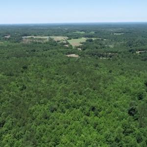 Photo #25 of SOLD property in Off Pumping Station Road, Sanford, NC 35.0 acres