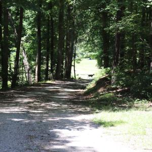 Photo #3 of SOLD property in Off Pumping Station Road, Sanford, NC 35.0 acres