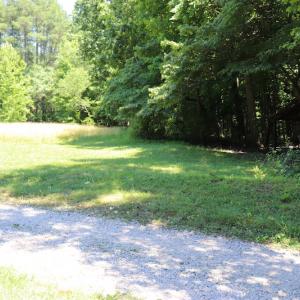 Photo #5 of SOLD property in Off Pumping Station Road, Sanford, NC 35.0 acres