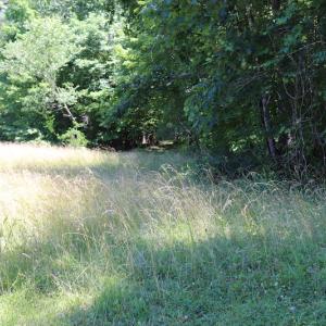 Photo #6 of SOLD property in Off Pumping Station Road, Sanford, NC 35.0 acres