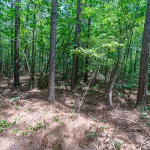 Photo #15 of SOLD property in Off Garrett Road, Liberty, NC 14.4 acres