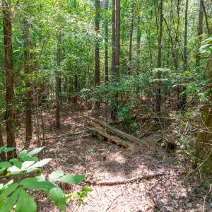 Photo #21 of SOLD property in Off Garrett Road, Liberty, NC 14.4 acres