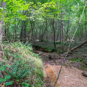 Photo #22 of SOLD property in Off Garrett Road, Liberty, NC 14.4 acres