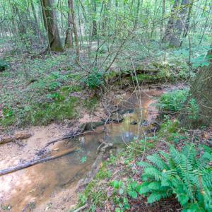 Photo #24 of SOLD property in Off Garrett Road, Liberty, NC 14.4 acres