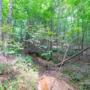 Photo #25 of SOLD property in Off Garrett Road, Liberty, NC 14.4 acres