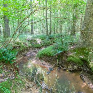 Photo #26 of SOLD property in Off Garrett Road, Liberty, NC 14.4 acres