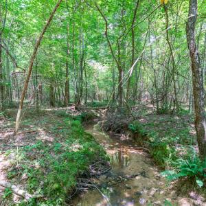 Photo #27 of SOLD property in Off Garrett Road, Liberty, NC 14.4 acres