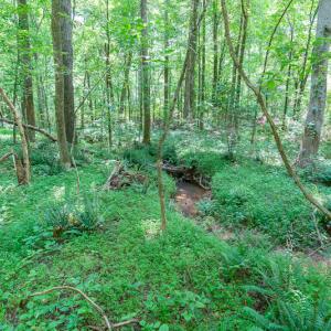 Photo #28 of SOLD property in Off Garrett Road, Liberty, NC 14.4 acres