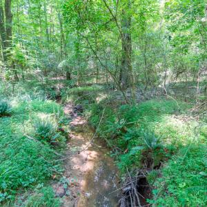 Photo #29 of SOLD property in Off Garrett Road, Liberty, NC 14.4 acres