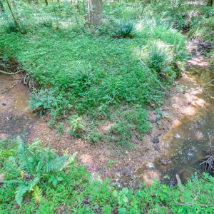 Photo #30 of SOLD property in Off Garrett Road, Liberty, NC 14.4 acres
