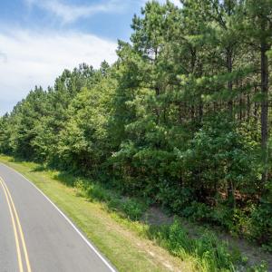Photo #5 of SOLD property in Off Garrett Road, Liberty, NC 14.4 acres