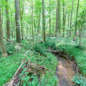 Photo #31 of SOLD property in Off Garrett Road, Liberty, NC 14.4 acres