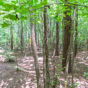 Photo #33 of SOLD property in Off Garrett Road, Liberty, NC 14.4 acres