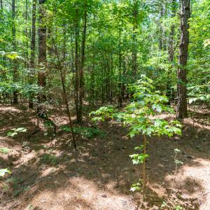 Photo #34 of SOLD property in Off Garrett Road, Liberty, NC 14.4 acres