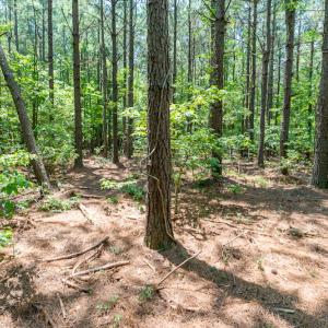 Photo #35 of SOLD property in Off Garrett Road, Liberty, NC 14.4 acres