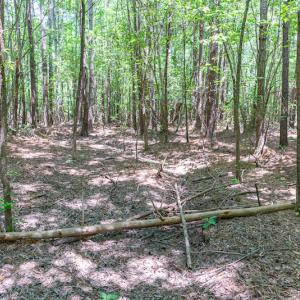 Photo #37 of SOLD property in Off Garrett Road, Liberty, NC 14.4 acres