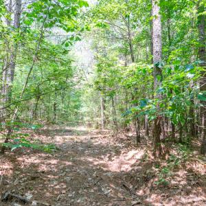 Photo #38 of SOLD property in Off Garrett Road, Liberty, NC 14.4 acres
