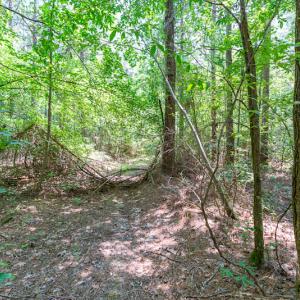 Photo #39 of SOLD property in Off Garrett Road, Liberty, NC 14.4 acres