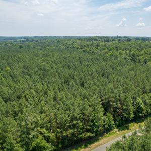 Photo #6 of SOLD property in Off Garrett Road, Liberty, NC 14.4 acres