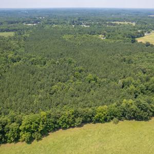 Photo #7 of SOLD property in Off Garrett Road, Liberty, NC 14.4 acres