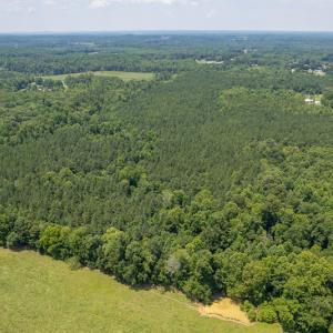 Photo #8 of SOLD property in Off Garrett Road, Liberty, NC 14.4 acres
