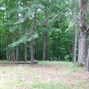Photo #13 of SOLD property in 1554 Union Church Road, Ferrum, VA 7.3 acres