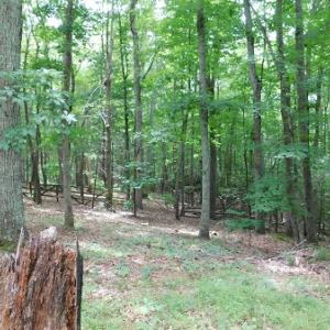 Photo #14 of SOLD property in 1554 Union Church Road, Ferrum, VA 7.3 acres
