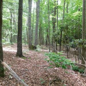 Photo #15 of SOLD property in 1554 Union Church Road, Ferrum, VA 7.3 acres