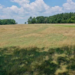 Photo #3 of SOLD property in 409 Doc Thompson Road, Macon, NC 75.3 acres