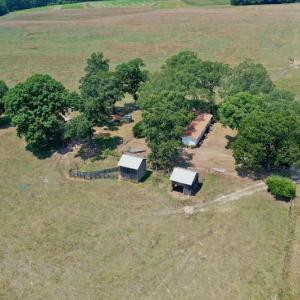 Photo #4 of SOLD property in 409 Doc Thompson Road, Macon, NC 75.3 acres