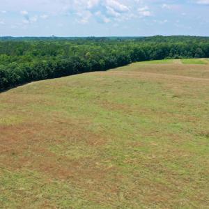 Photo #6 of SOLD property in 409 Doc Thompson Road, Macon, NC 75.3 acres