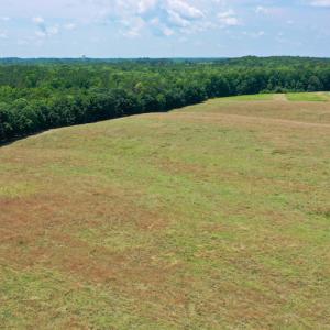 Photo #6 of SOLD property in 409 Doc Thompson Road, Macon, NC 75.3 acres