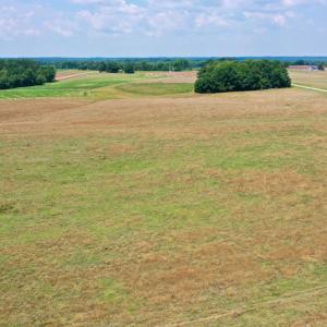 Photo #7 of SOLD property in 409 Doc Thompson Road, Macon, NC 75.3 acres