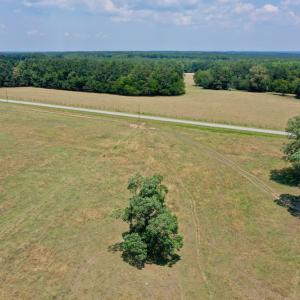Photo #8 of SOLD property in 409 Doc Thompson Road, Macon, NC 75.3 acres