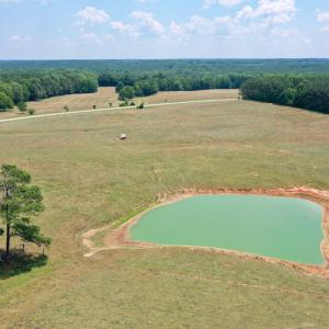 Photo #10 of SOLD property in 409 Doc Thompson Road, Macon, NC 75.3 acres