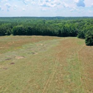 Photo #11 of SOLD property in 409 Doc Thompson Road, Macon, NC 75.3 acres