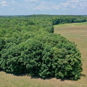 Photo #12 of SOLD property in 409 Doc Thompson Road, Macon, NC 75.3 acres