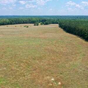 Photo #14 of SOLD property in 409 Doc Thompson Road, Macon, NC 75.3 acres