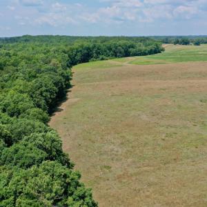 Photo #15 of SOLD property in 409 Doc Thompson Road, Macon, NC 75.3 acres