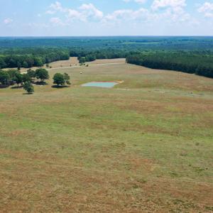 Photo #16 of SOLD property in 409 Doc Thompson Road, Macon, NC 75.3 acres