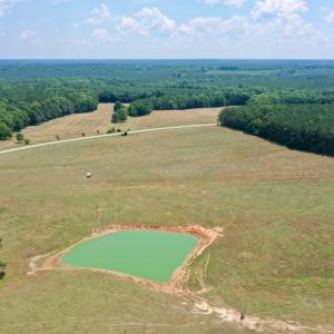 Photo #17 of SOLD property in 409 Doc Thompson Road, Macon, NC 75.3 acres