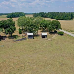 Photo #18 of SOLD property in 409 Doc Thompson Road, Macon, NC 75.3 acres