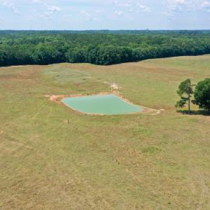 Photo #21 of SOLD property in 409 Doc Thompson Road, Macon, NC 75.3 acres